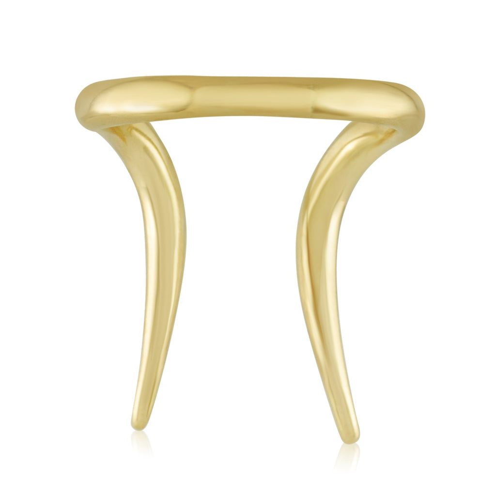 Capricorn Ring