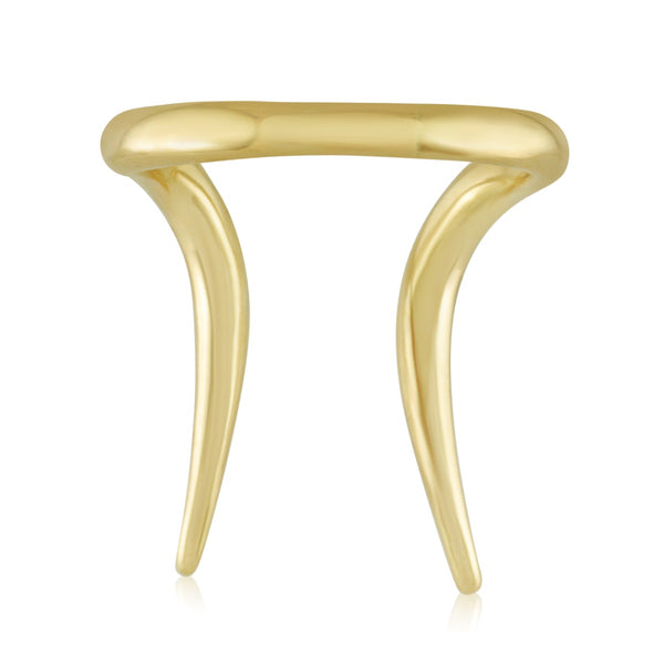 Capricorn Ring