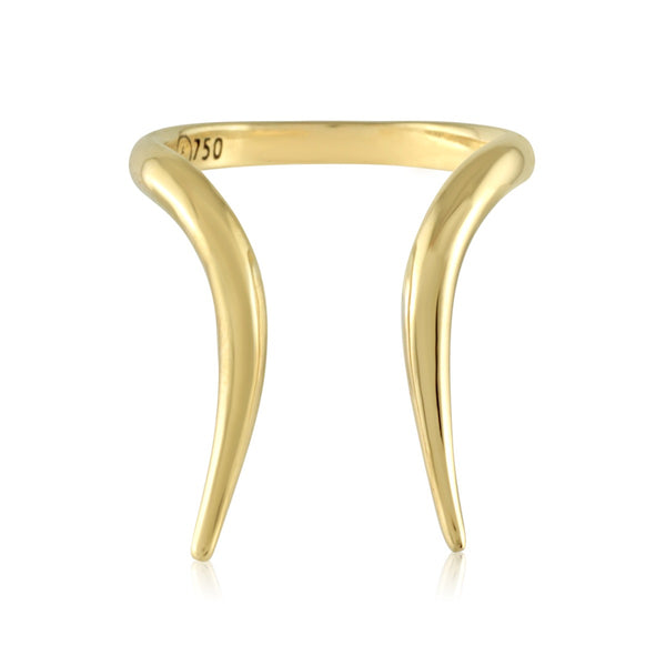 Capricorn Ring