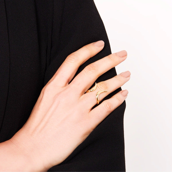 Capricorn Ring