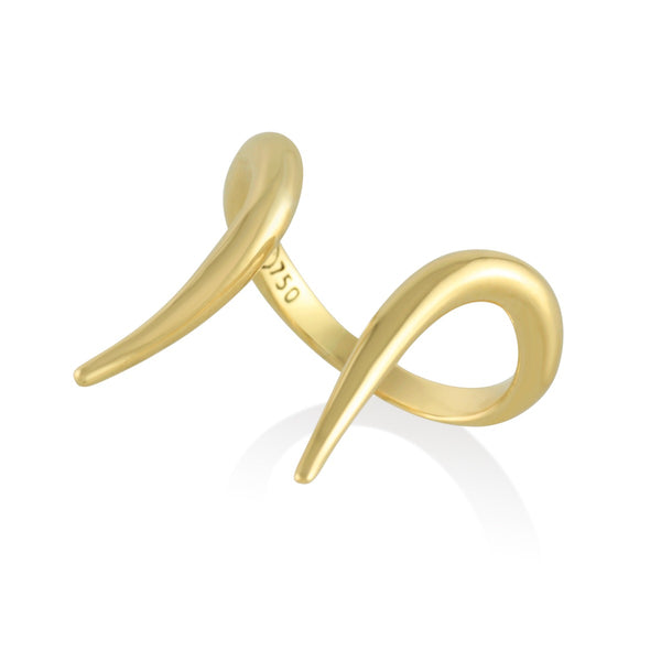 Capricorn Ring
