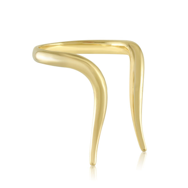 Capricorn Ring