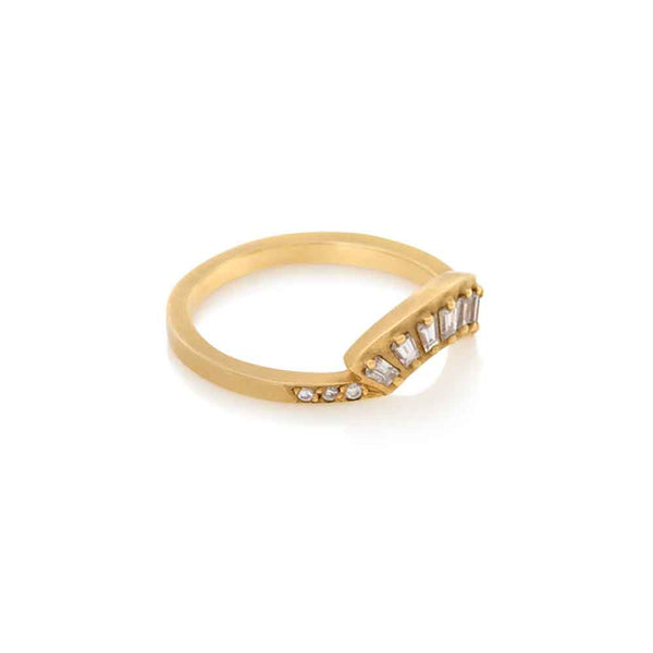 Fan Ring