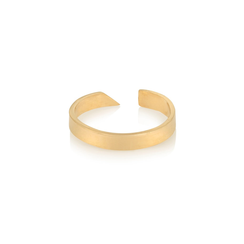 Evolution Ring