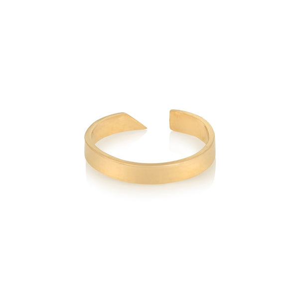 Evolution Ring