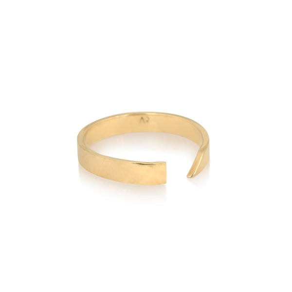 Evolution Ring