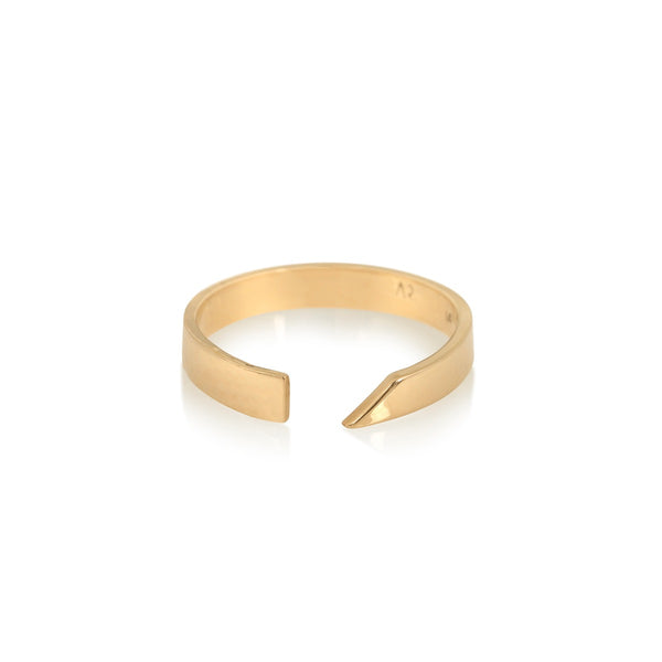 Evolution Ring